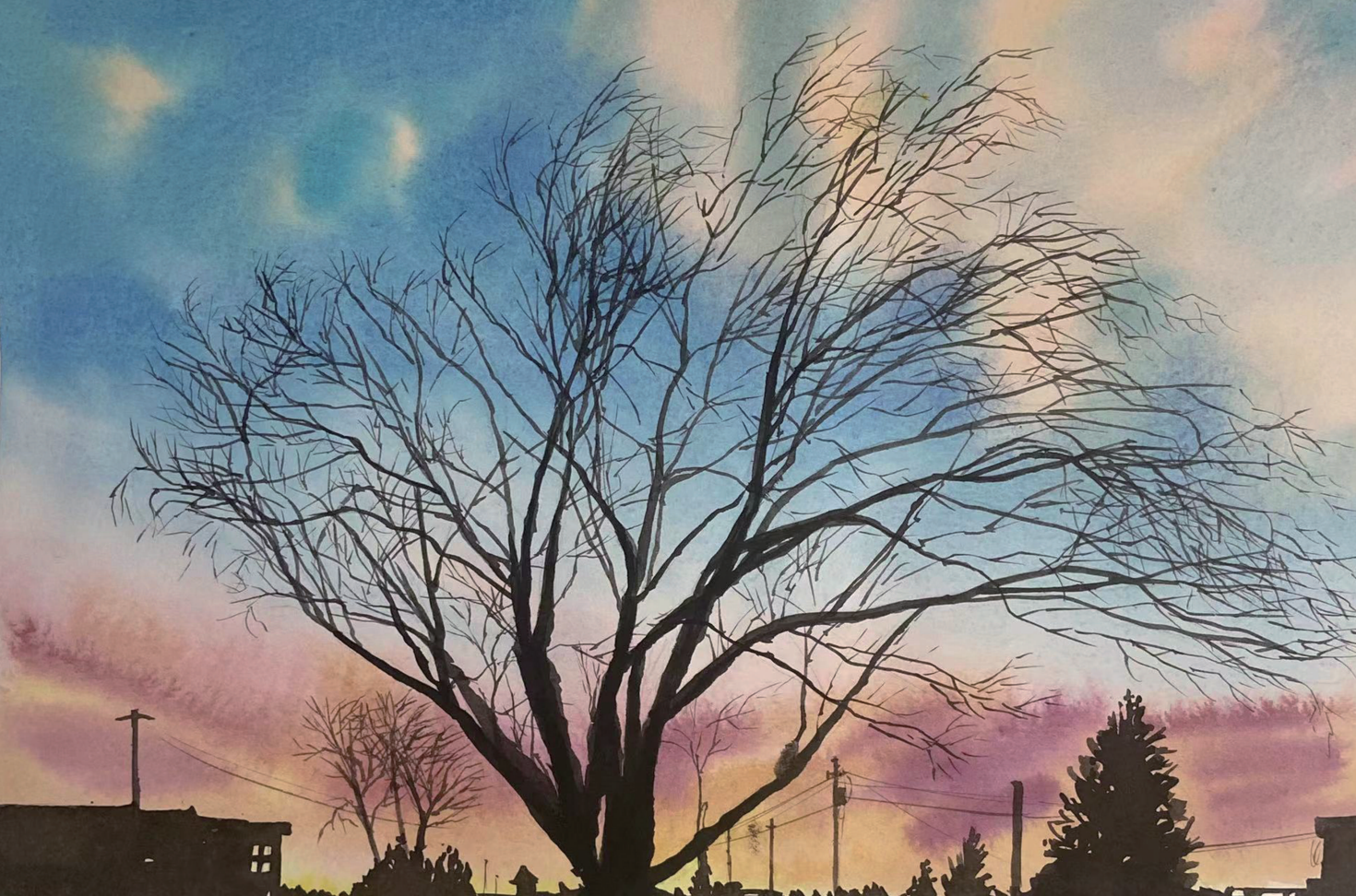 Cedar Night